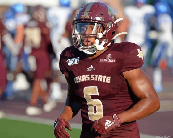 Texas state bobcats american footballer painting by numbers.jpeg