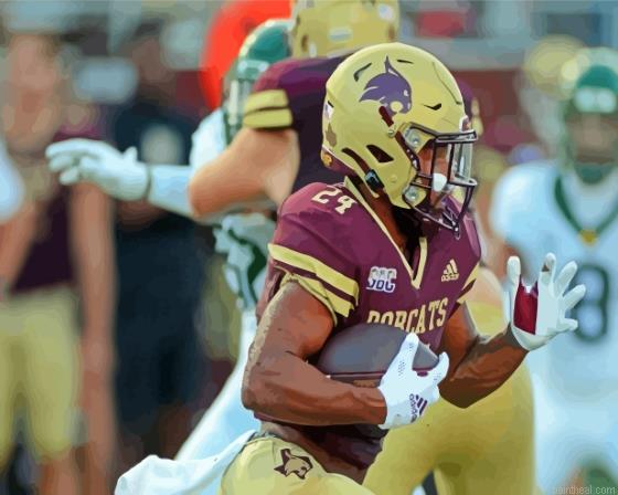 Texas state bobcats player painting by numbers.jpeg