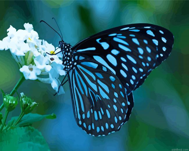The blue tiger butterfly painting by numbers.jpeg