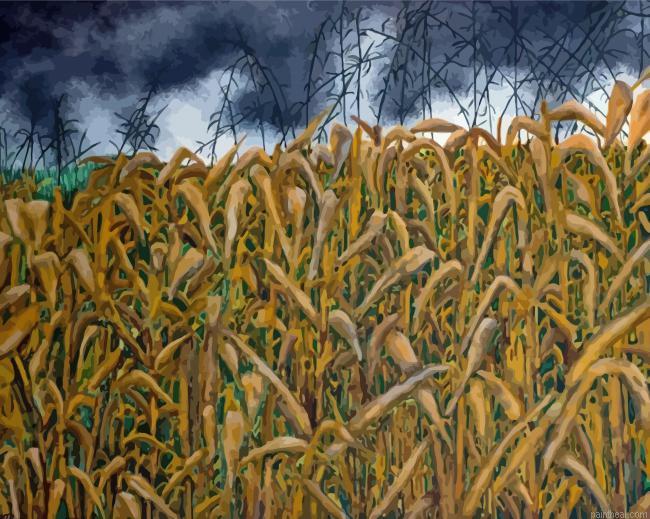 The cornfield art painting by numbers.jpeg