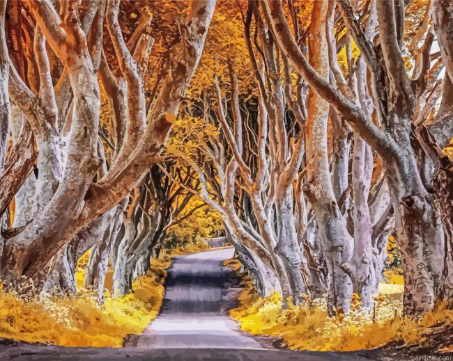 The dark hedges in autumn painting by numbers.jpeg