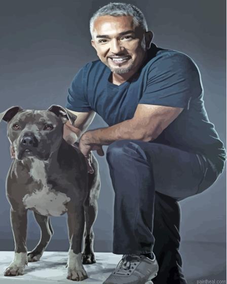 The dog trainer cesar millan painting by numbers.jpeg