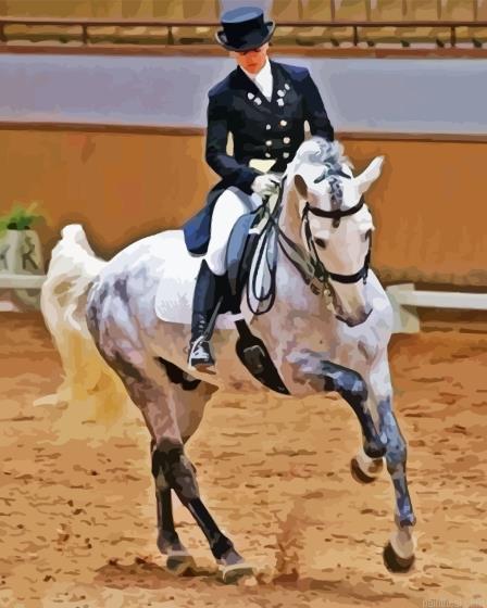 The dressage horse painting by numbers.jpeg