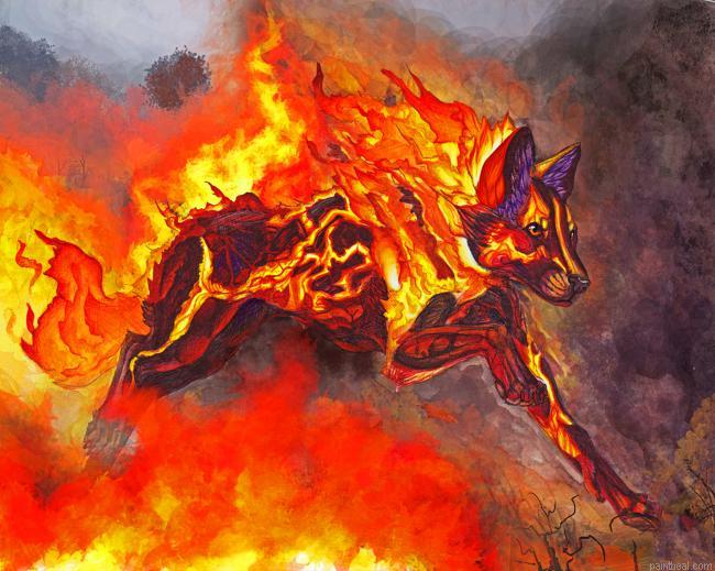 The fire dog painting by numbers.jpeg