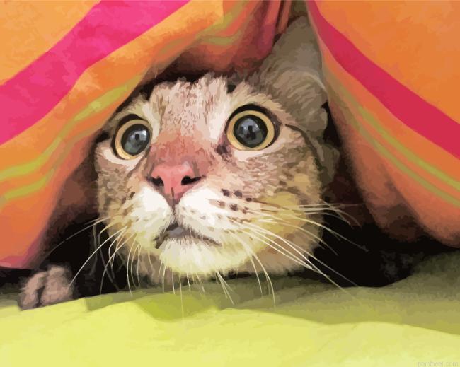 The frightened cat painting by numbers.jpeg