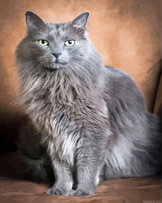 The grey ragdoll cat painting by numbers.jpeg