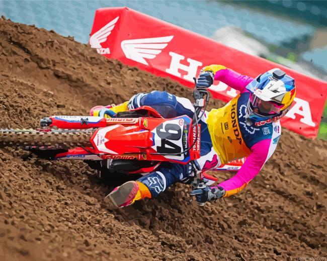 The racer ken roczen painting by numbers.jpeg