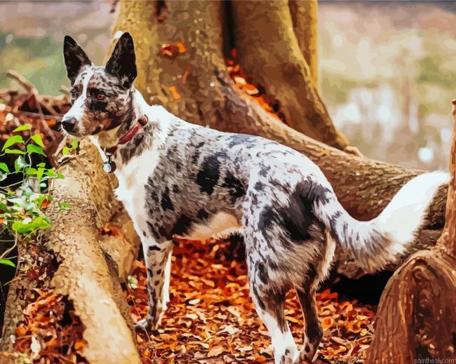 The texas heeler dog painting by numbers.jpeg