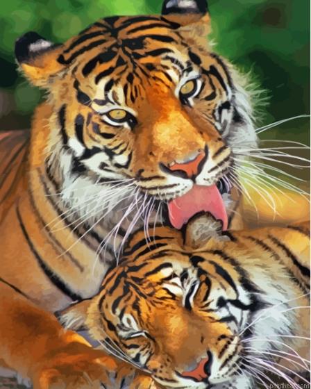 The tigers in love painting by numbers.jpeg