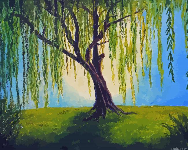 The willow tree art painting by numbers.jpeg