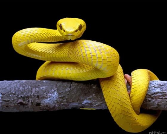 The yellow snake painting by numbers.jpeg