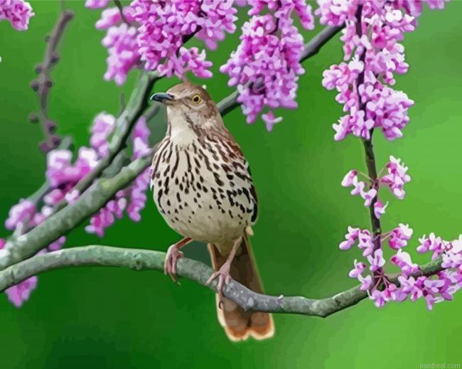 Thrasher bird and pink blooms painting by numbers.jpeg