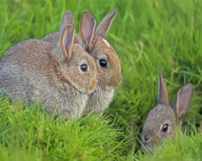 Three bunnies animals painting by numbers.jpeg