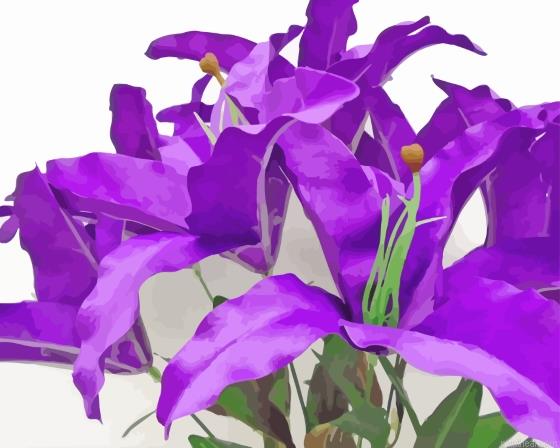 Tiger purple flowers painting by numbers.jpeg