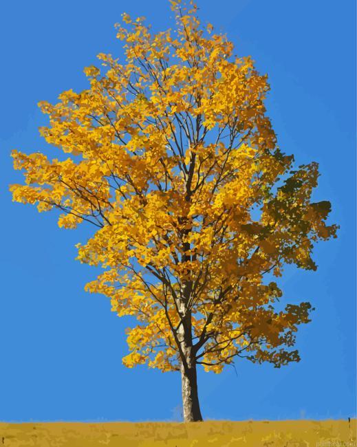 Tree during the golden season painting by numbers.jpeg