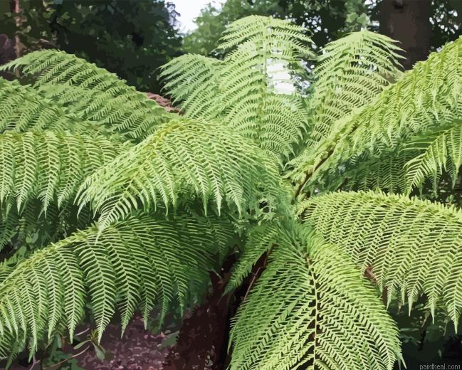 Tree fern painting by numbers.jpeg