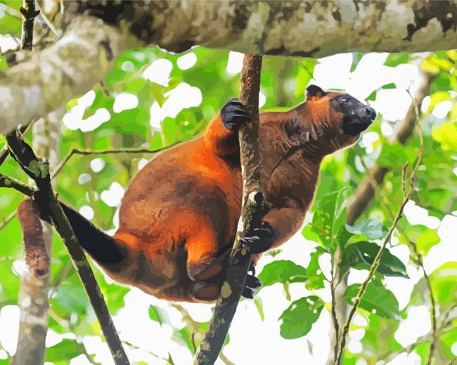 Tree kangaroo painting by numbers.jpeg