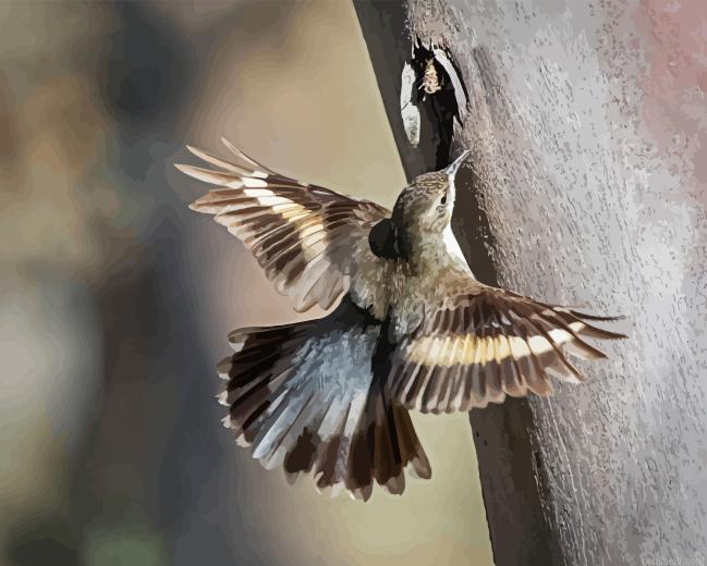 Treecreeper bird painting by numbers.jpeg