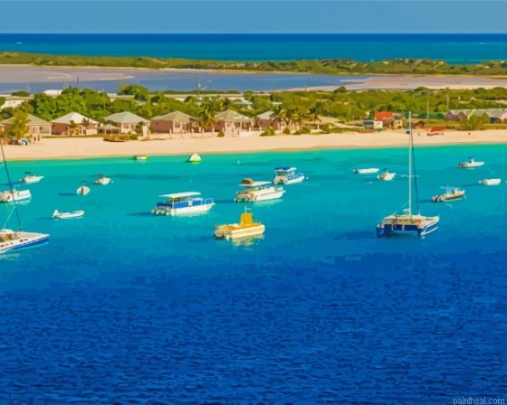 Turks and caicos painting by numbers.jpeg