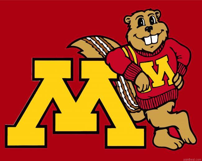 University of minnesota logo painting by numbers.jpeg
