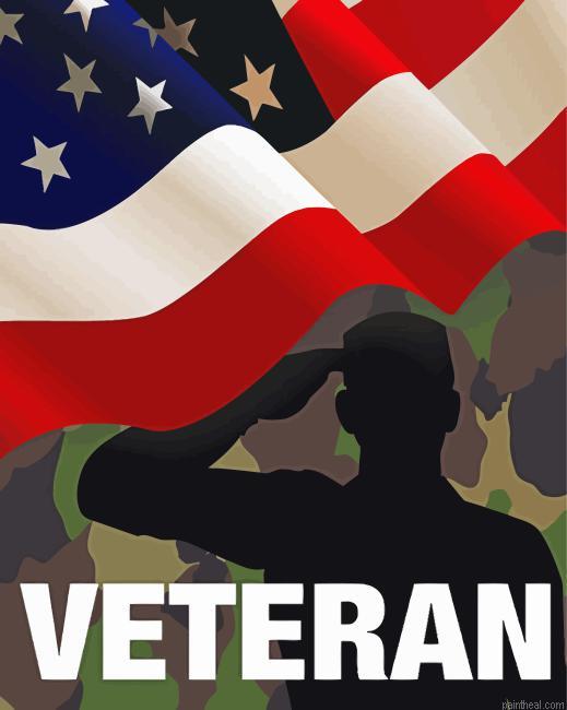 Veteran military painting by numbers.jpeg