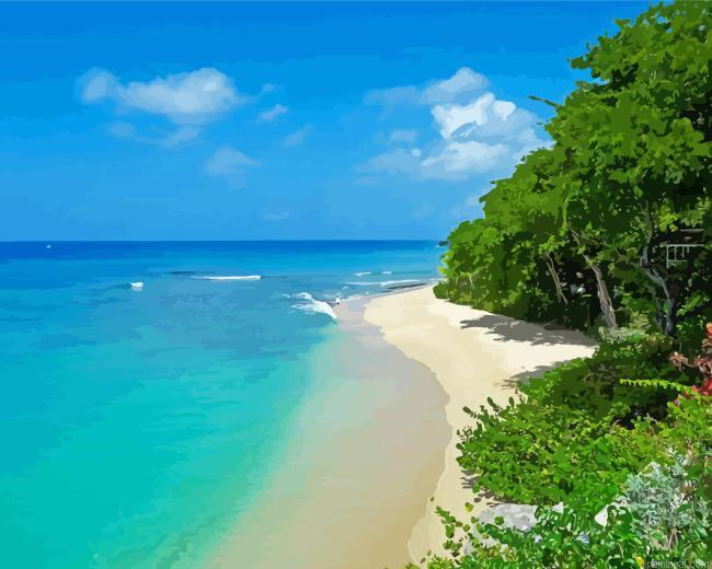West coast of barbados painting by numbers.jpeg