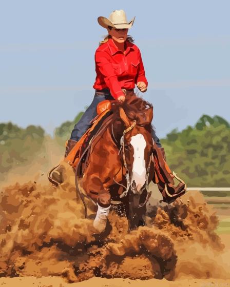 Western reining painting by numbers.jpeg