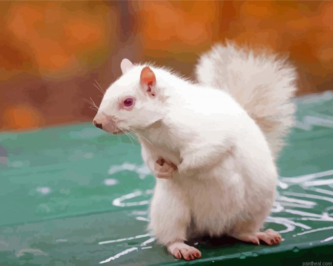 White albino squirrel painting by numbers.jpeg