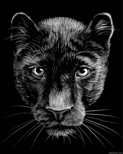 White and black panther painting by numbers.jpeg