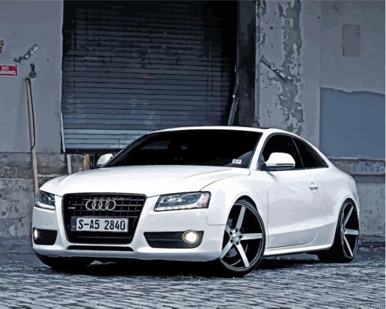 White audi s5 painting by numbers.jpeg