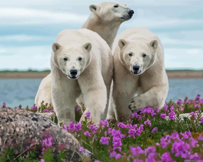 White bears in lavender field painting by numbers.jpeg