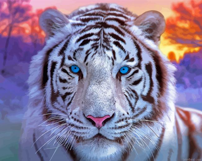 White blue eyes tiger painting by numbers.jpeg
