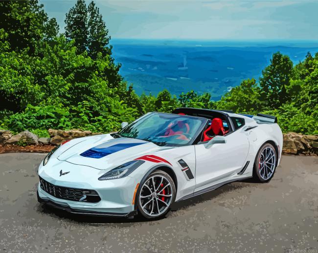 White corvette in mountain painting by numbers.jpeg