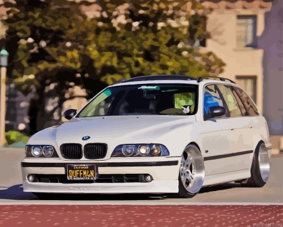 White e39 car painting by numbers.jpeg