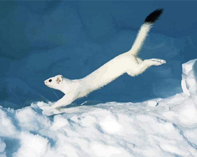 White ermine in snow painting by numbers.jpeg