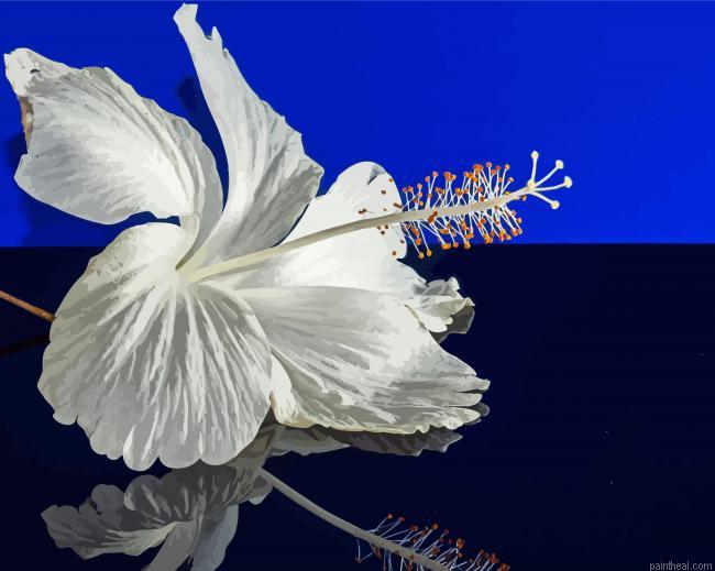 White hibiscus reflection painting by numbers.jpeg