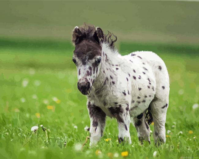 White horse foal painting by numbers.jpeg