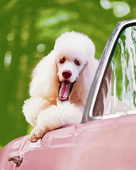 White poodle in pink convertible car painting by numbers.jpeg