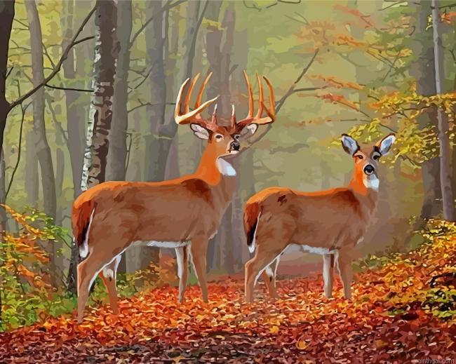 Whitetail buck and doe in forest painting by numbers.jpeg