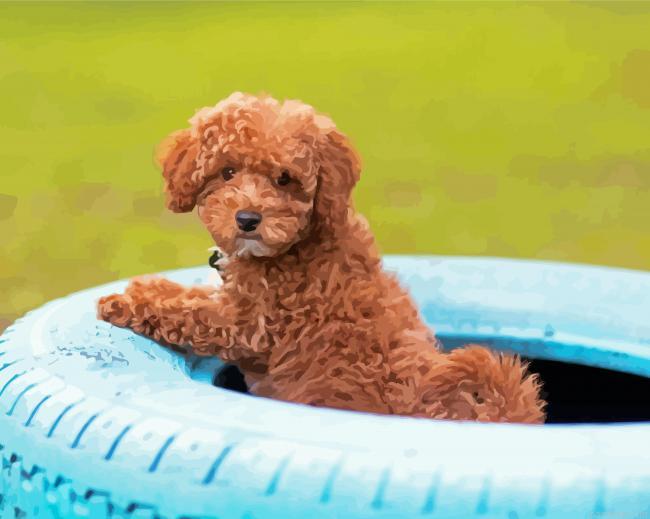 Whoodle puppy in tire painting by numbers.jpeg