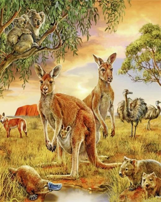 Wild kangaroos and animals painting by numbers.jpeg