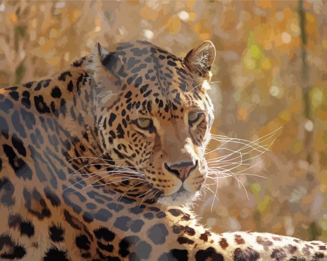 Wild leopard painting by numbers.jpeg