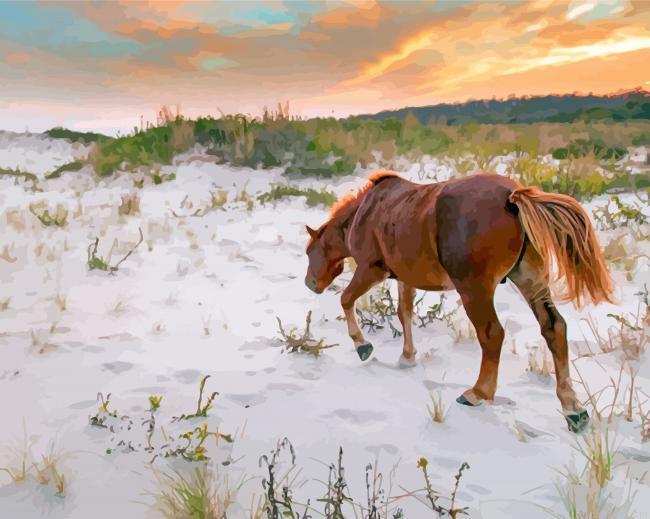Wild ponies on assateague island painting by numbers.jpeg