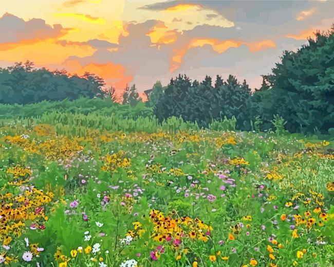 Wildflower meadow painting by numbers.jpeg