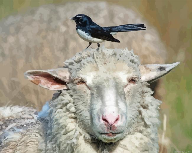 Willie wagtail on a sheep head painting by numbers.jpeg