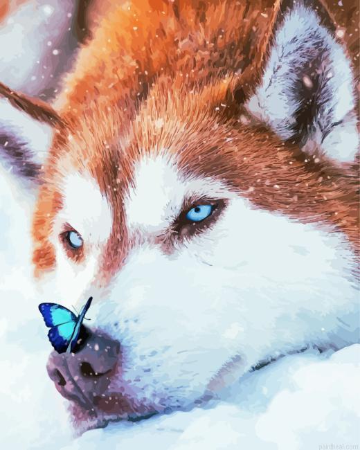 Wolf with butterfly painting by numbers.jpeg