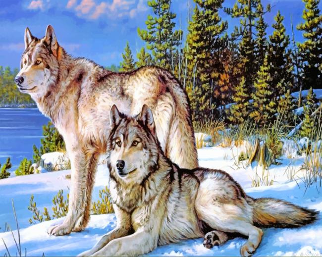Wolves in snow painting by numbers.jpeg