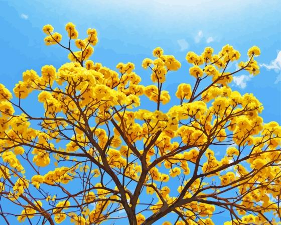 Yellow blossom tree painting by numbers.jpeg
