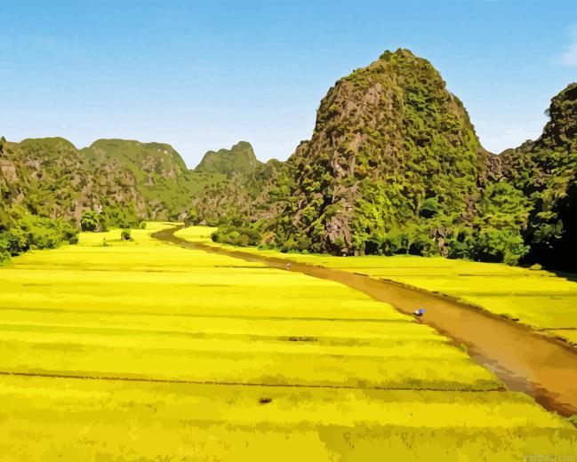 Yellow rice field painting by numbers.jpeg