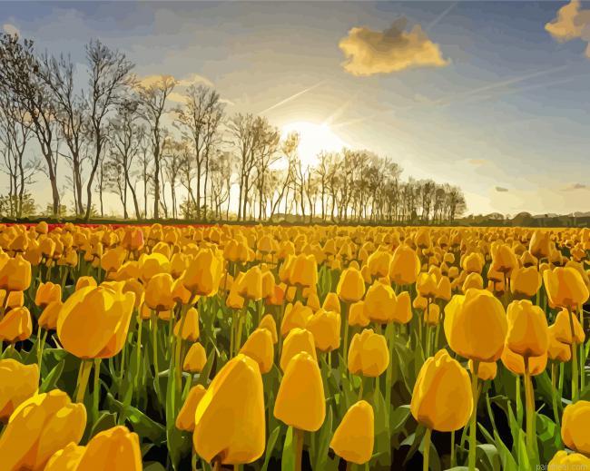 Yellow tulips in field painting by numbers.jpeg